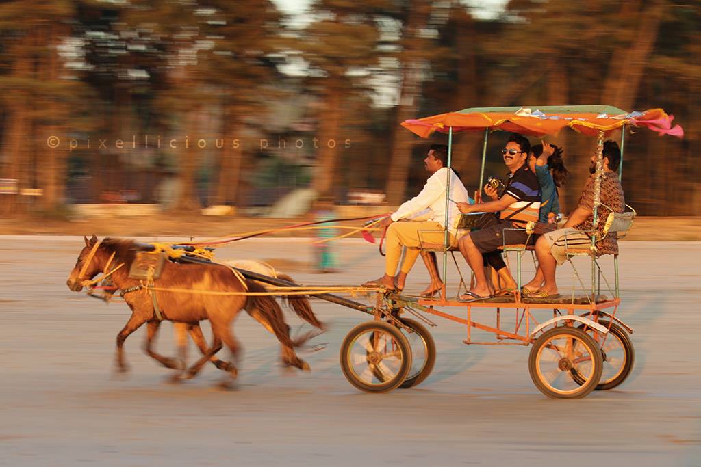A Horse Cart Captured in Motion