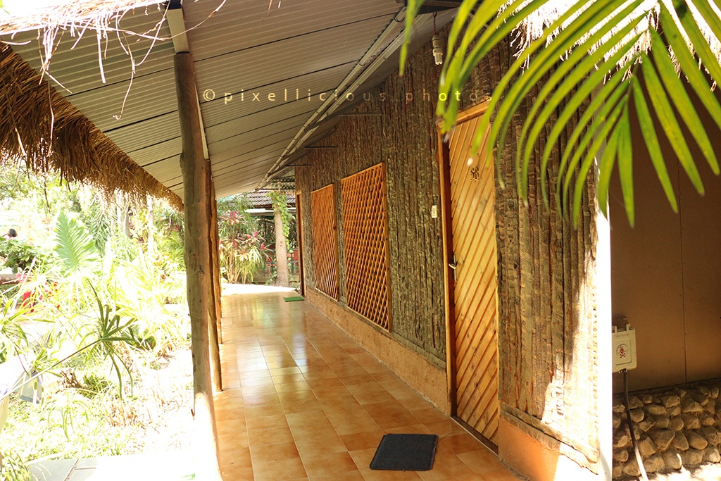 Coconut Log House at Save Farms - Tarpa