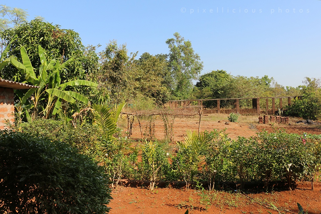 Farm Area at Majhya Mamacha Gaon