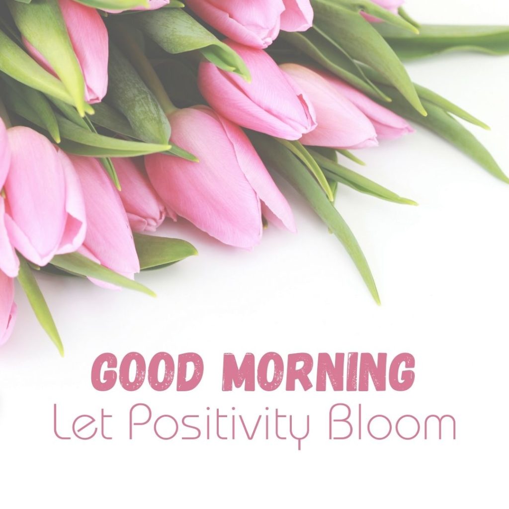 Let Positivity Bloom, Good Morning